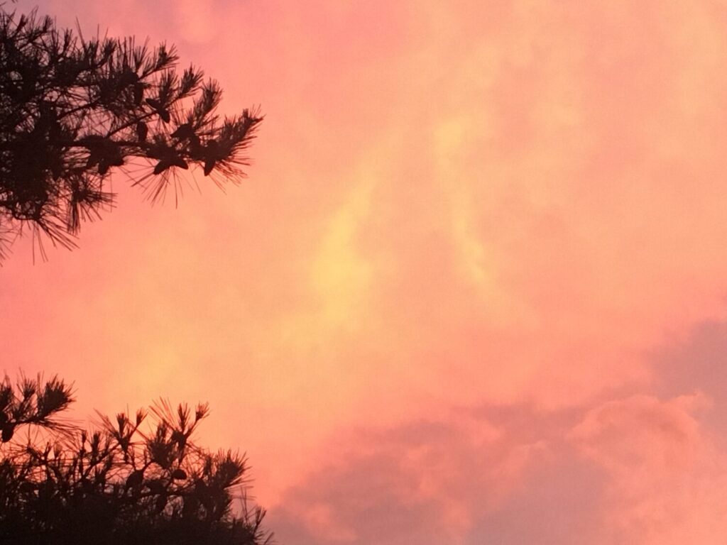 今、そして後世へ