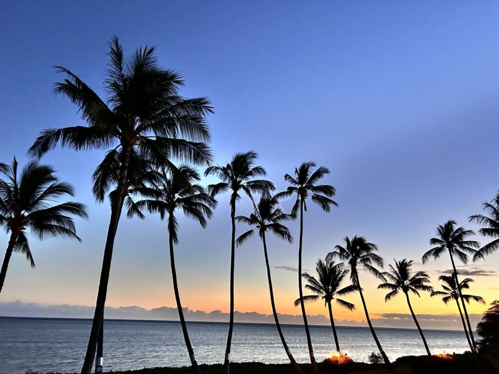 Mālama ʻāina