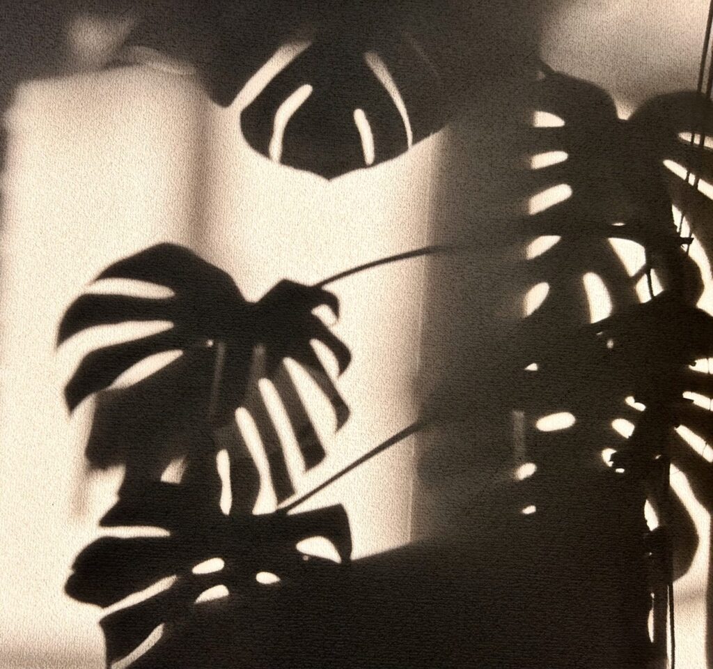 ホオポノポノ と カオナ