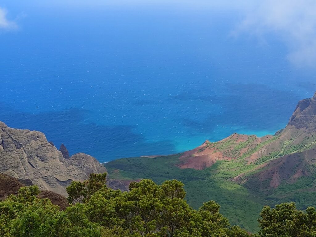 Hawaiian history ： 移民とプランテーション