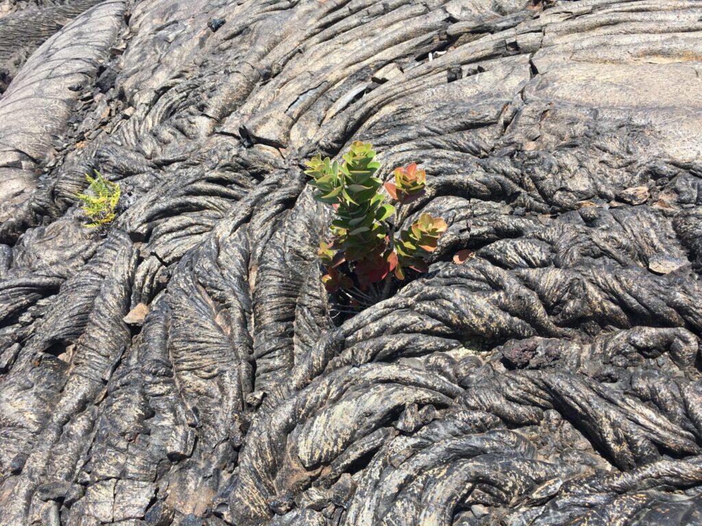 五感とグラウンディング