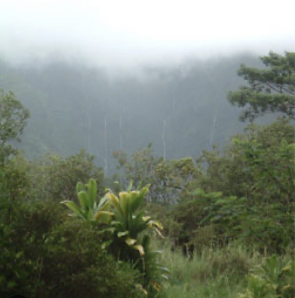 カウアイ島の聖域