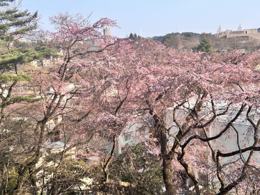 今が愛おしくなる物語