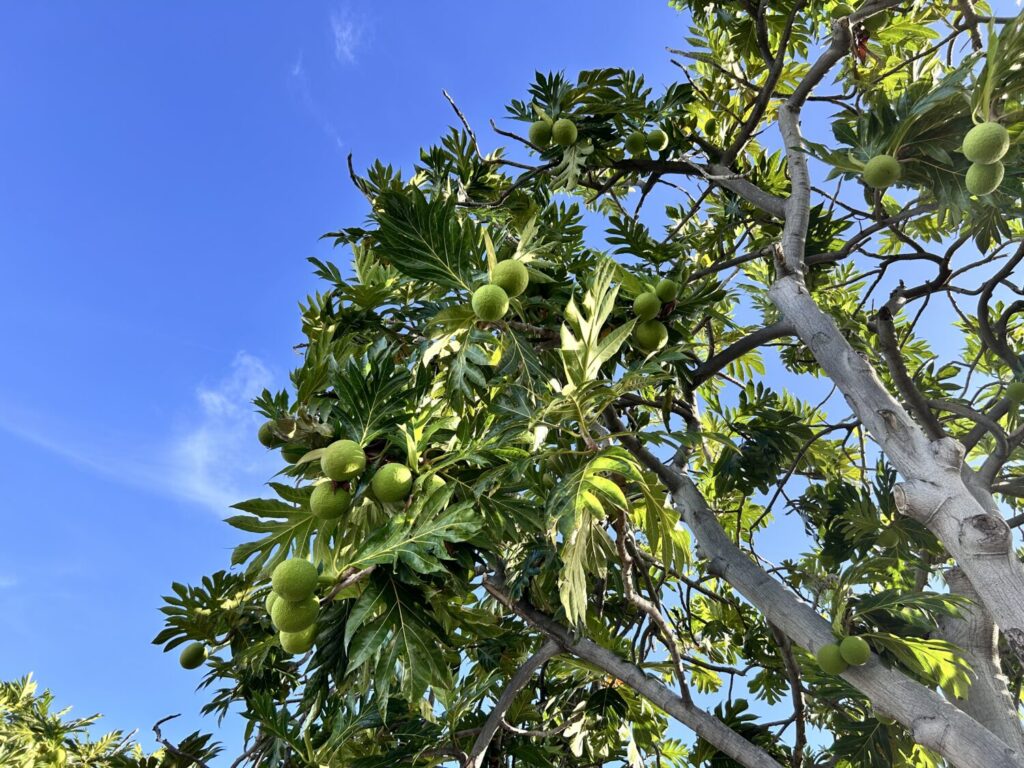 Keauhou